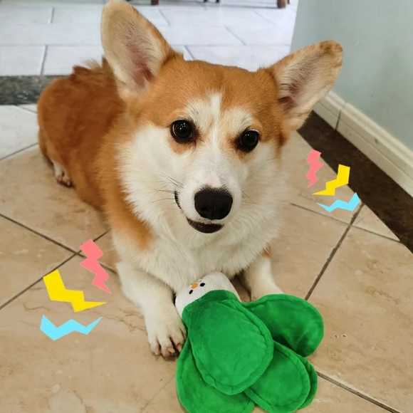 Bok choy vegetable dog toy - Picture 2 of 6